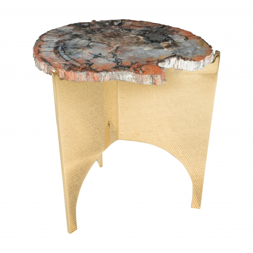 Petrified Wood Table with Mirrored Polished Bronze Base